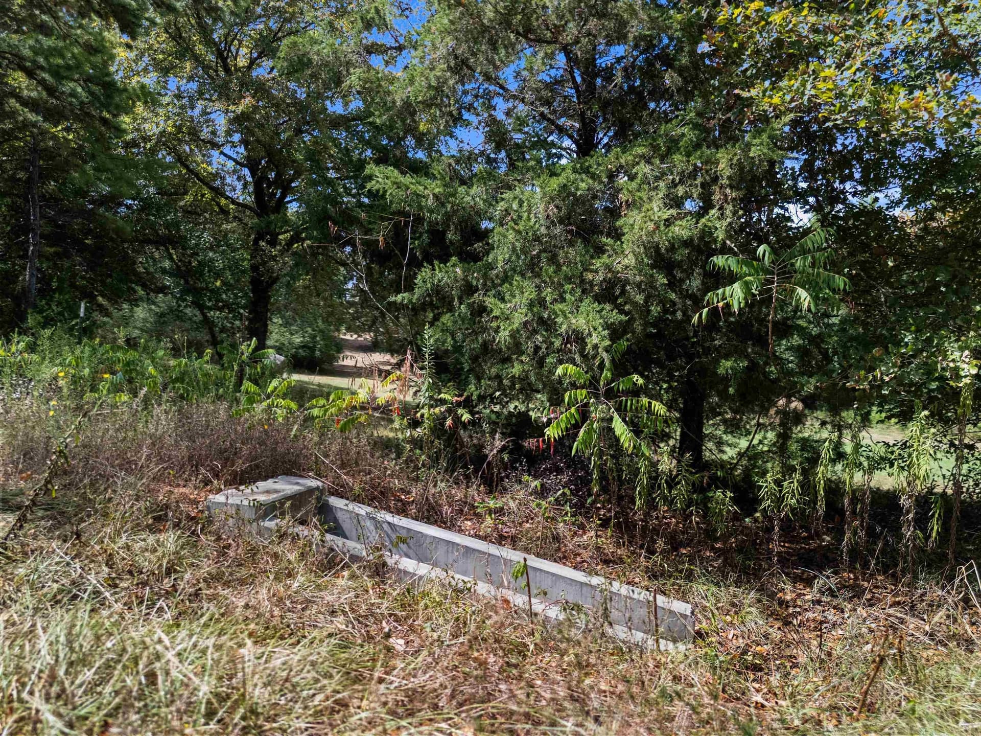 21.05 acres in Texas County - photo 19