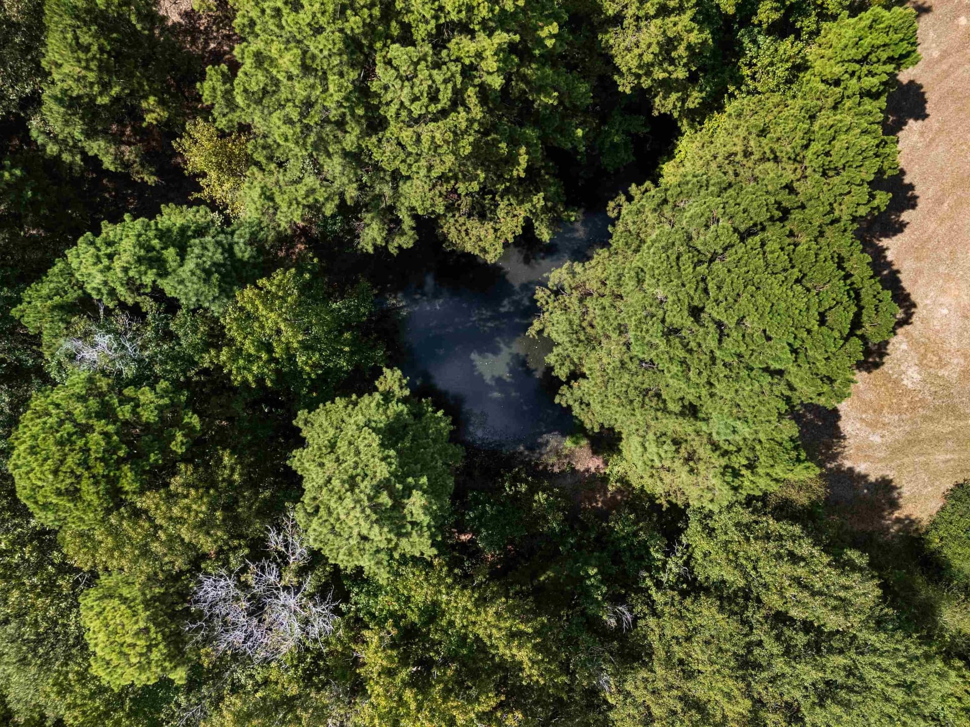 21.05 acres in Texas County - photo 14