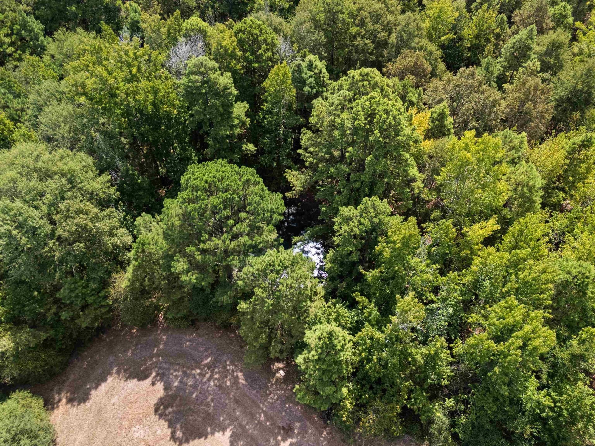 21.05 acres in Texas County - photo 6