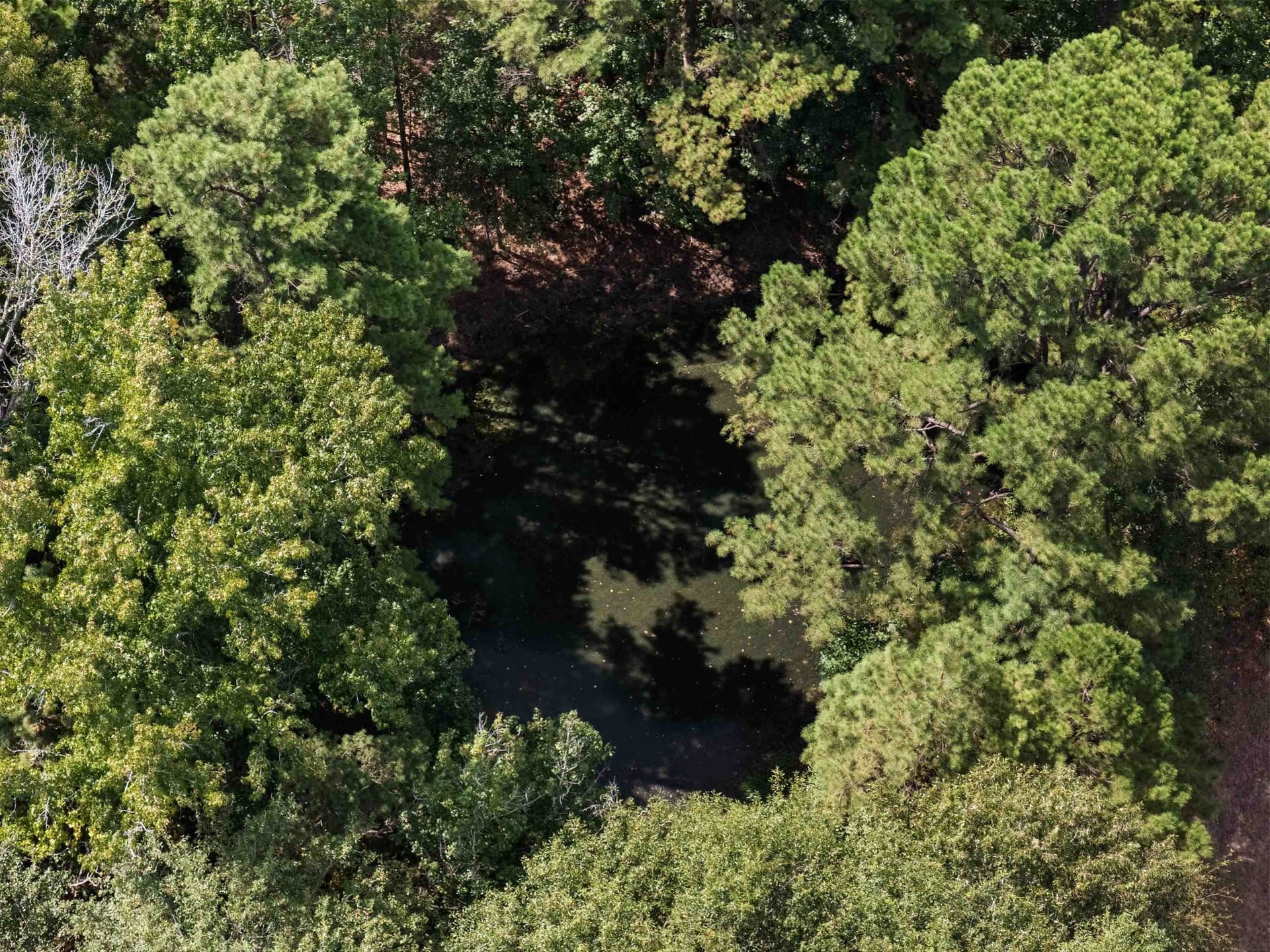 21.05 acres in Texas County - photo 13
