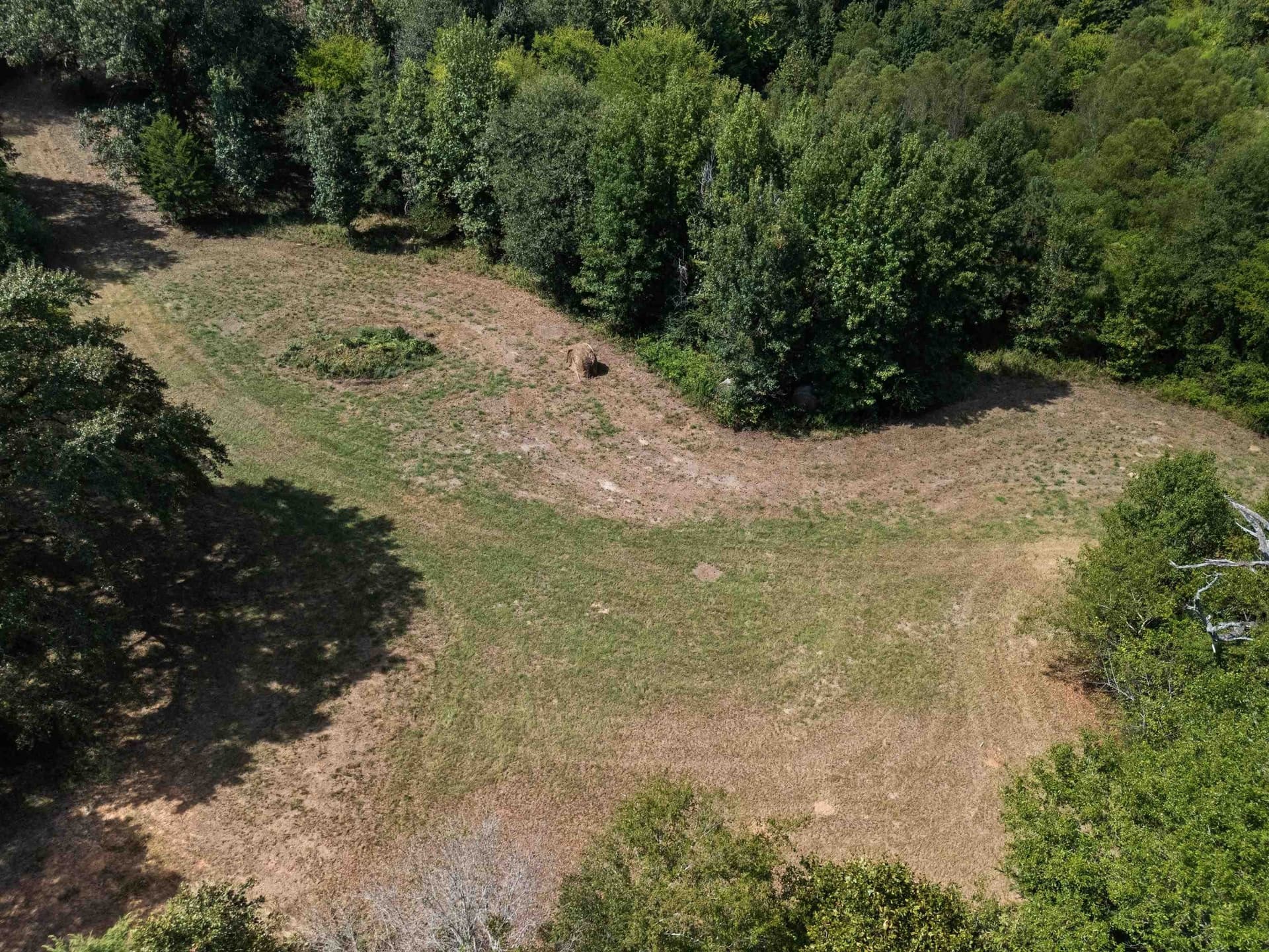 21.05 acres in Texas County - photo 5