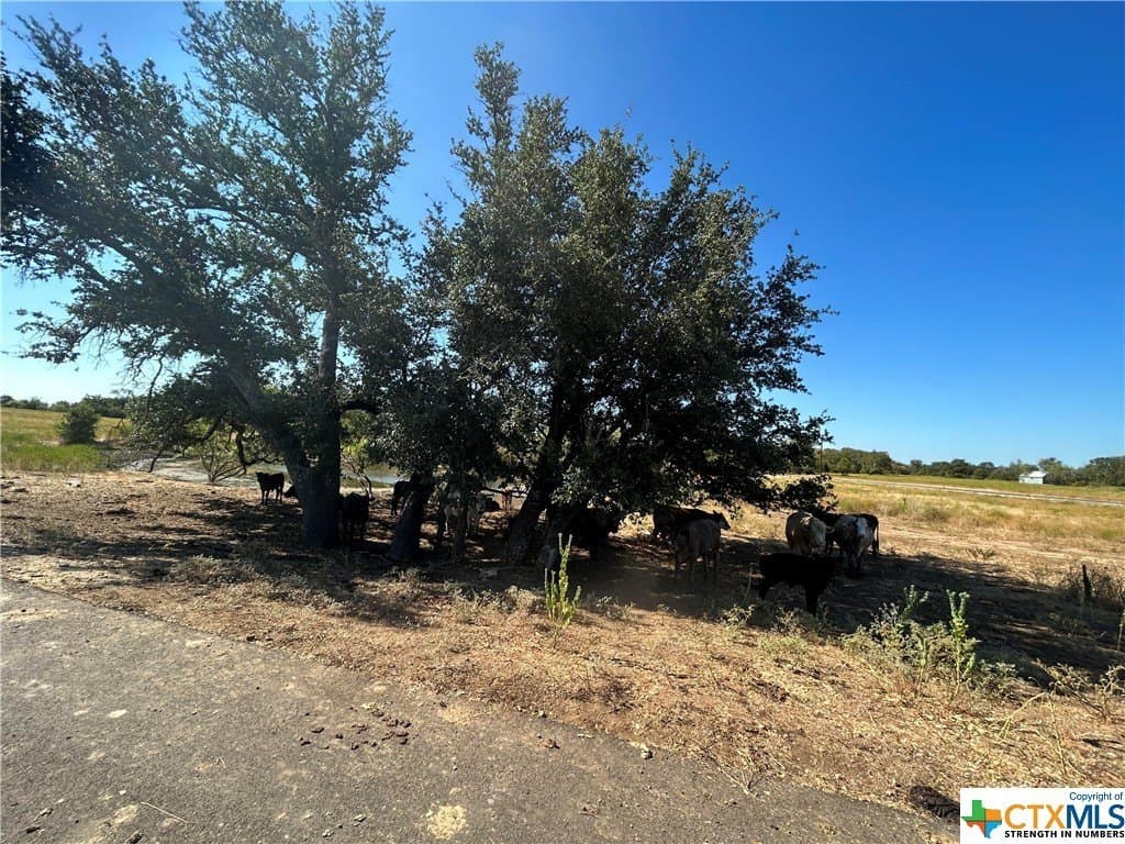 5.03 acres in Coryell County - photo 24