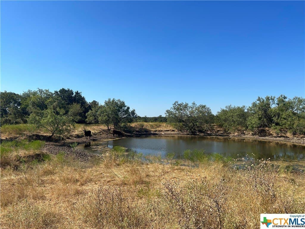 5.03 acres in Coryell County - photo 25