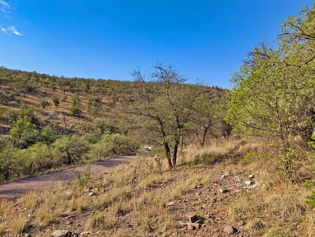 6.57 acres in Jeff Davis County - photo 11
