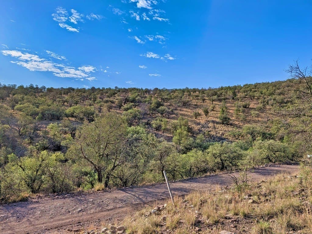 6.57 acres in Jeff Davis County - photo 10