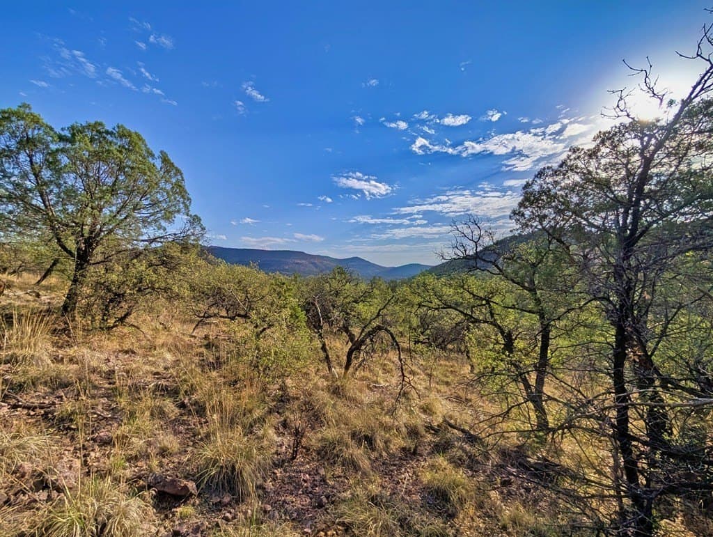 6.57 acres in Jeff Davis County - photo 8
