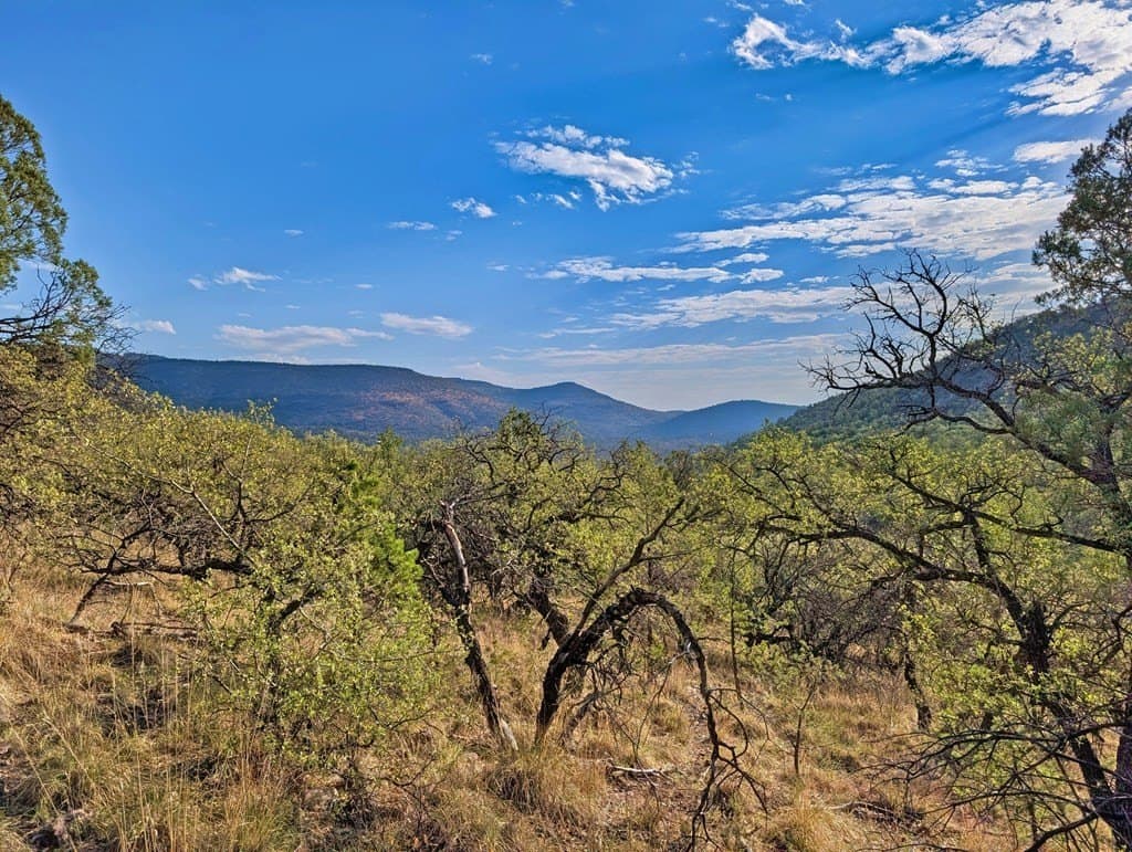 6.57 acres in Jeff Davis County - photo 9