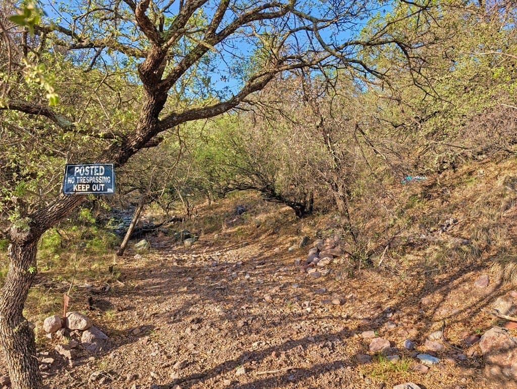 6.57 acres in Jeff Davis County gallery image 2