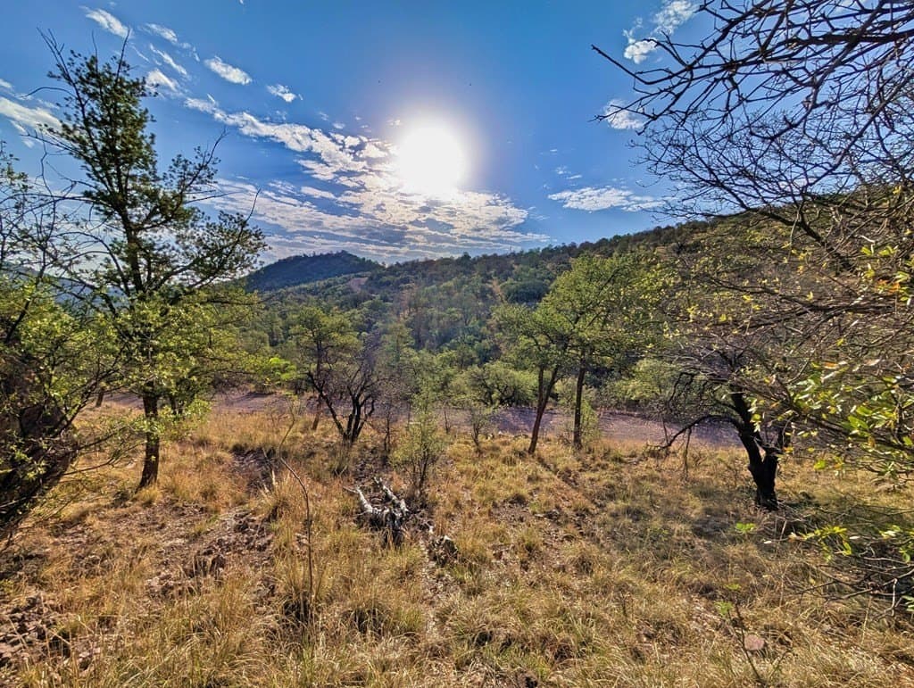 6.57 acres in Jeff Davis County - photo 7