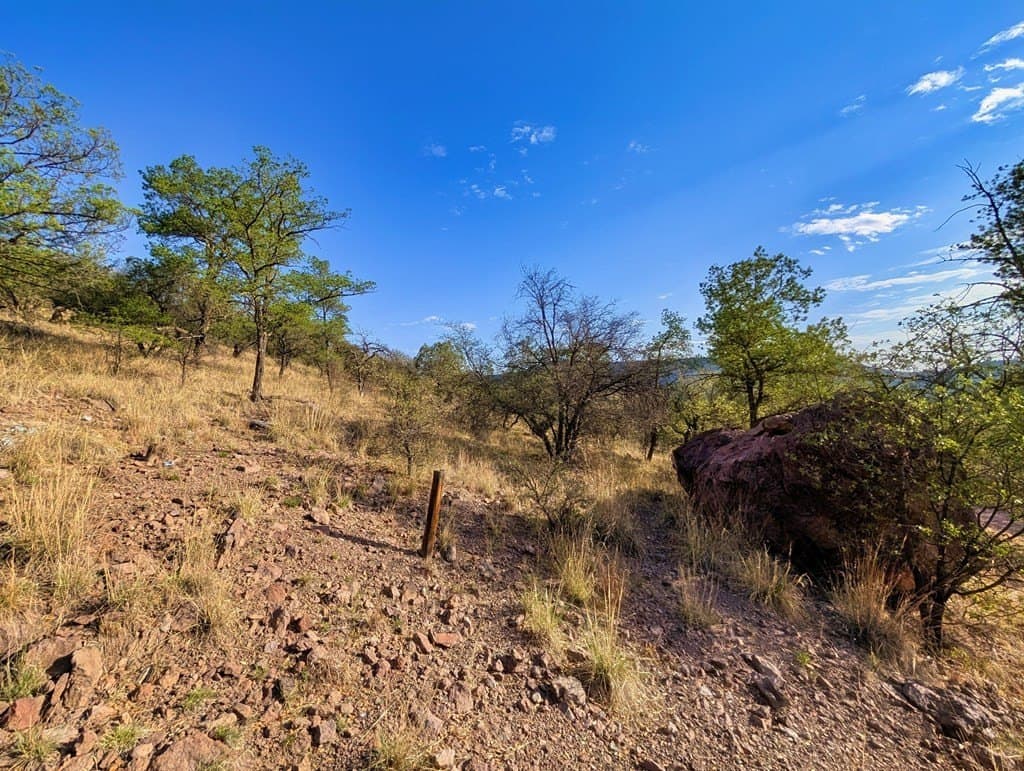 6.57 acres in Jeff Davis County - photo 6