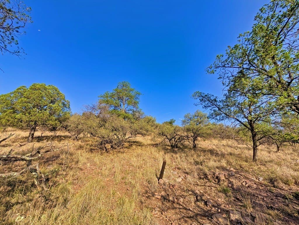 6.57 acres in Jeff Davis County gallery image 3