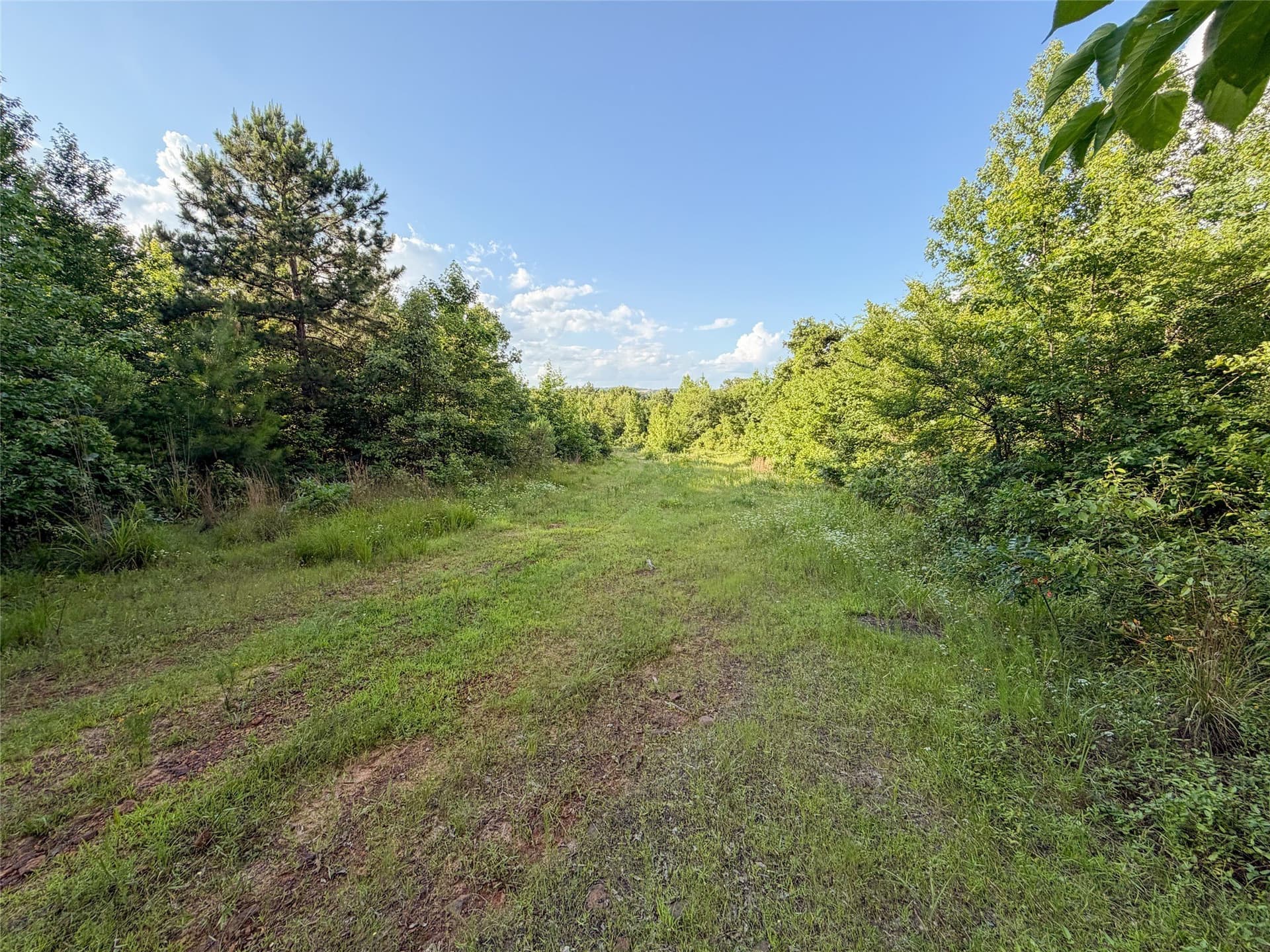 322.1 acres in Upshur County - photo 11