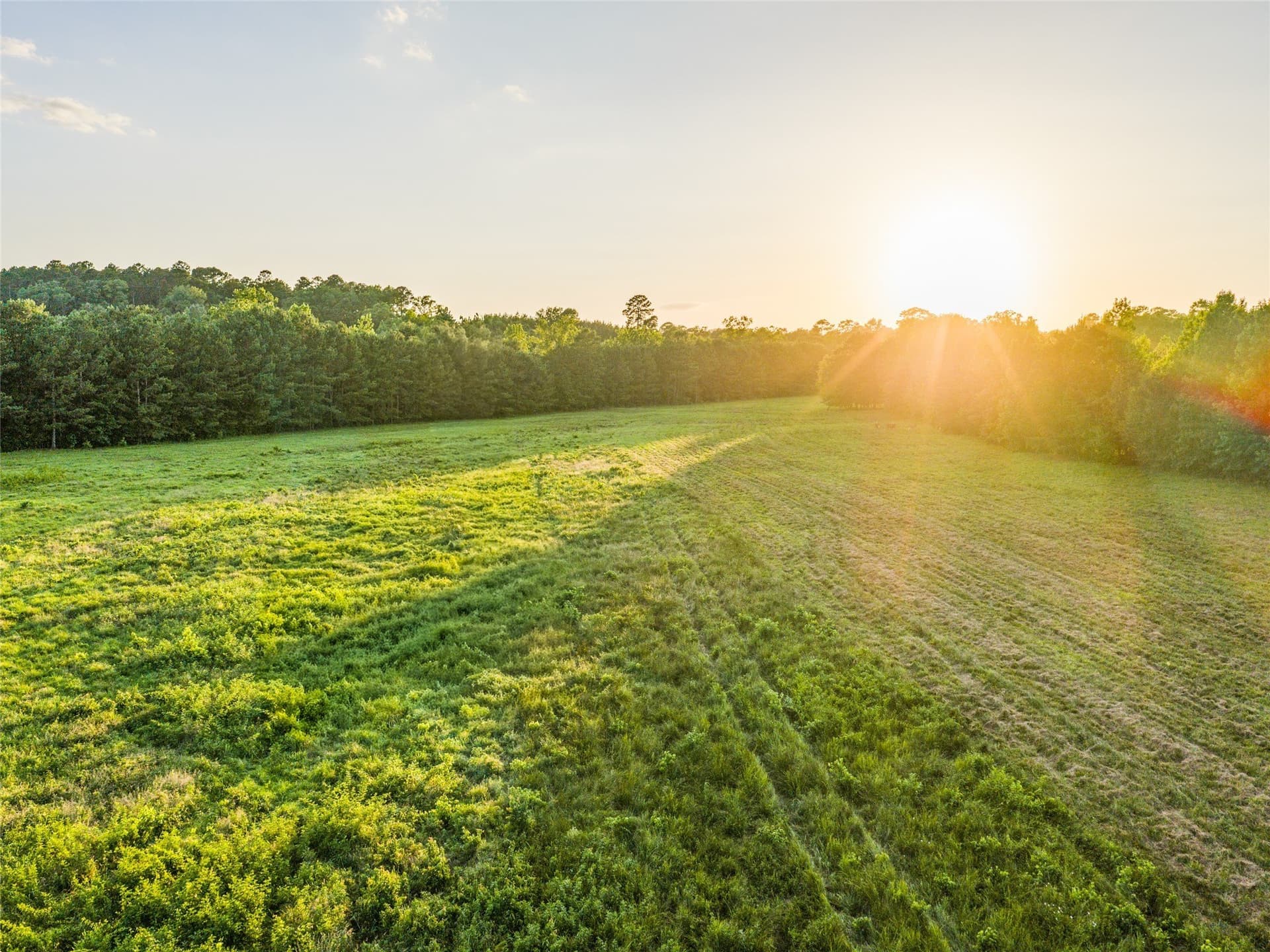 322.1 acres in Upshur County - photo 17