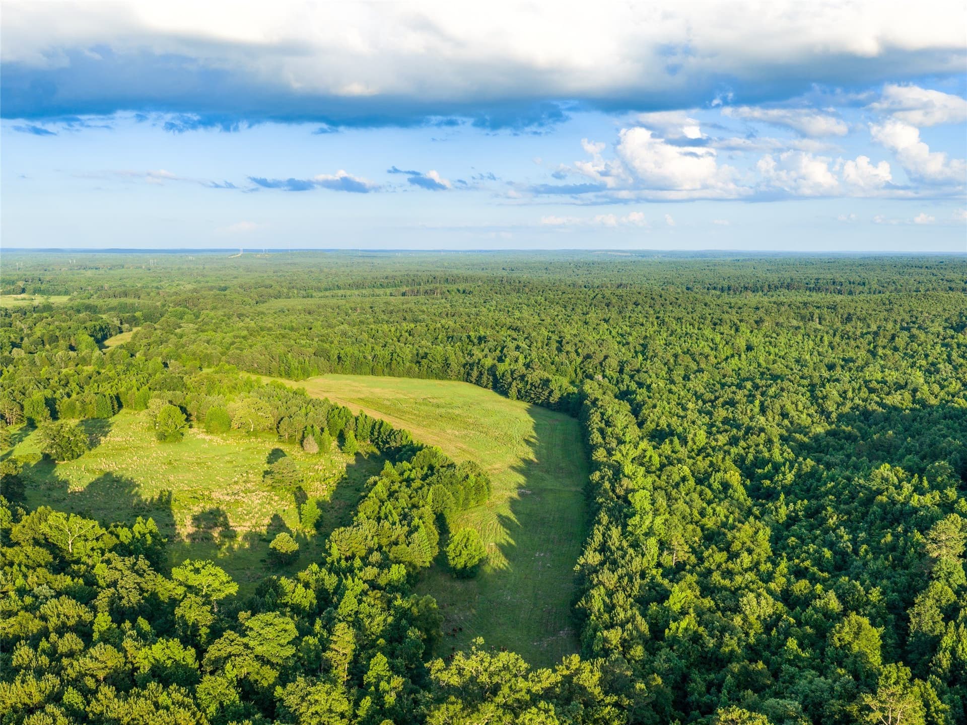 322.1 acres in Upshur County - photo 30