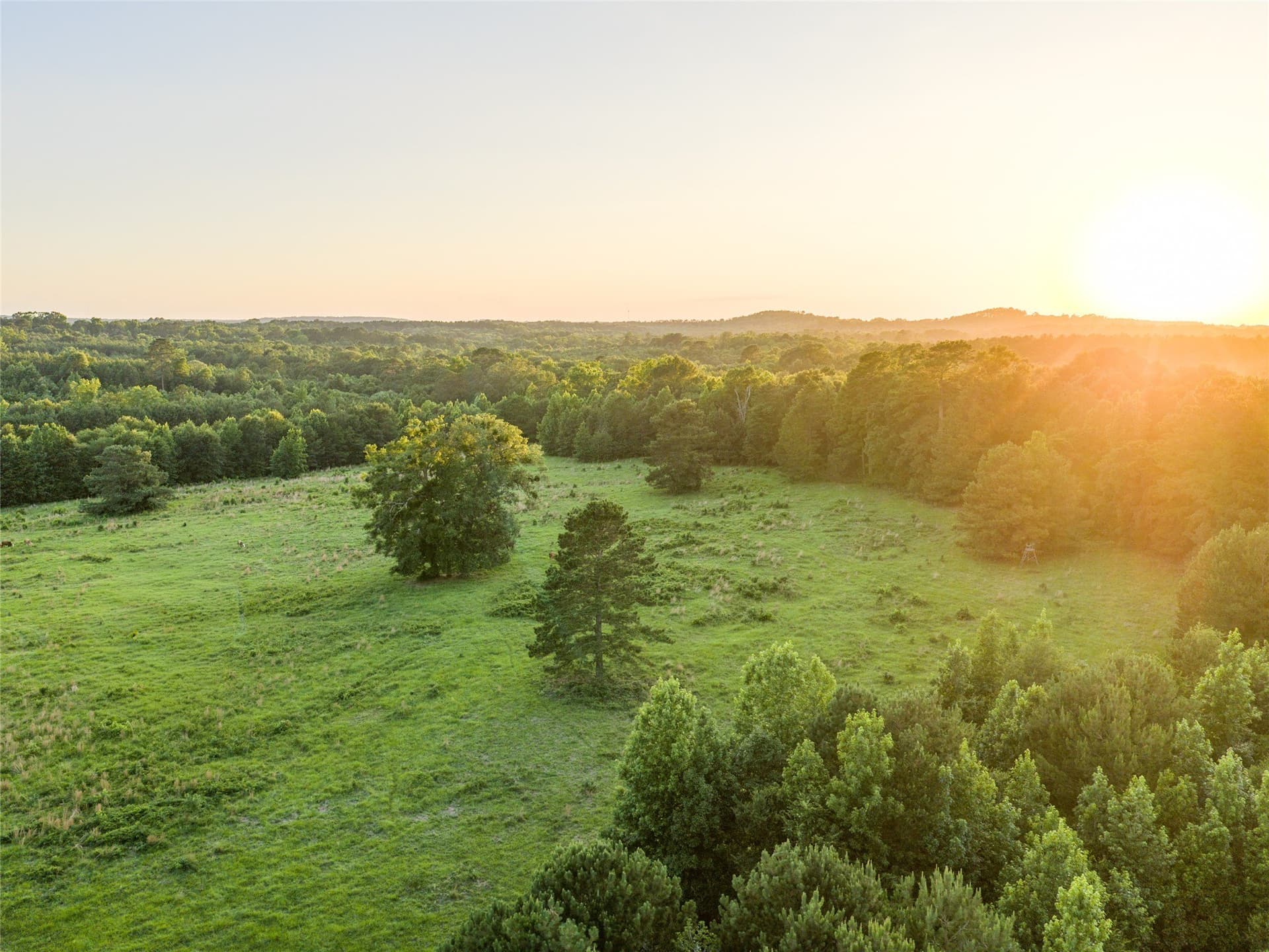 322.1 acres in Upshur County - photo 15