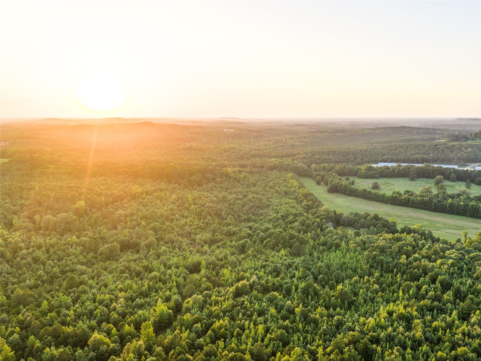 322.1 acres in Upshur County - photo 4