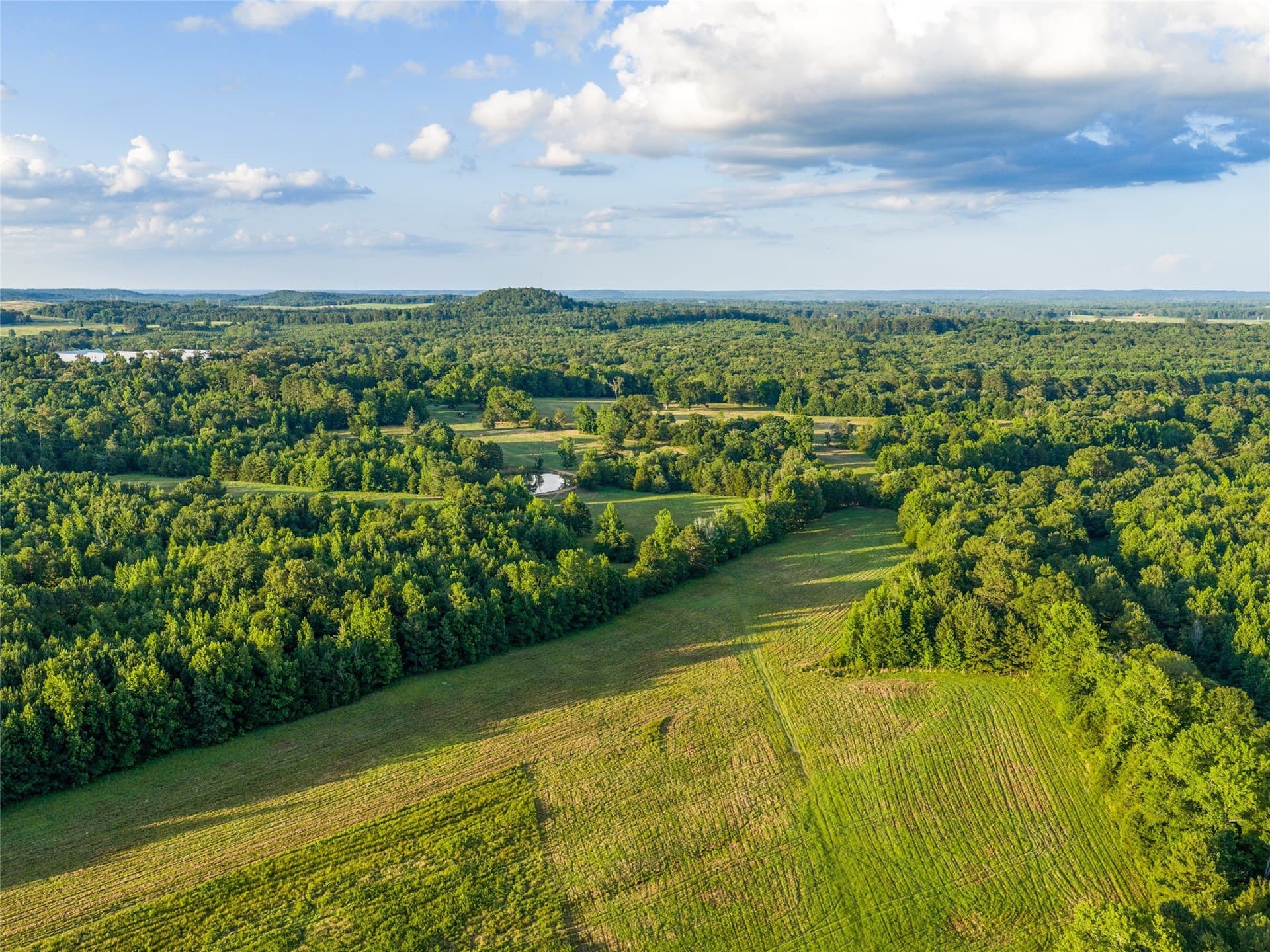 322.1 acres in Upshur County - photo 31