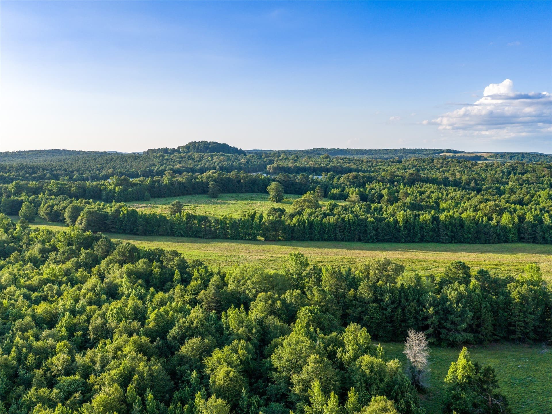 322.1 acres in Upshur County - photo 7