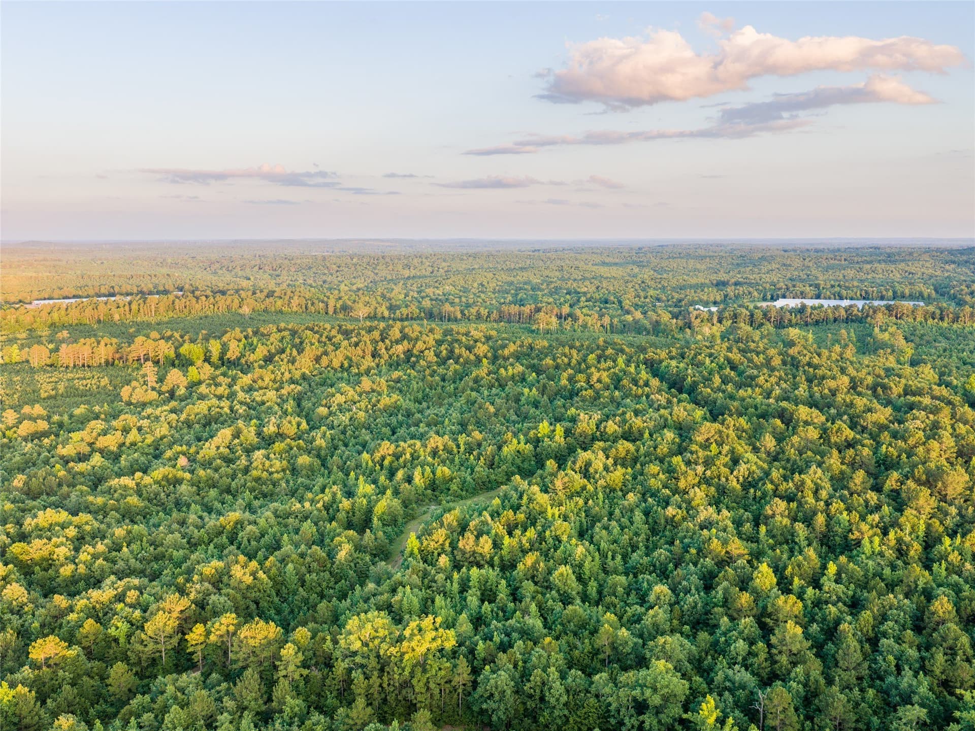 322.1 acres in Upshur County - photo 24