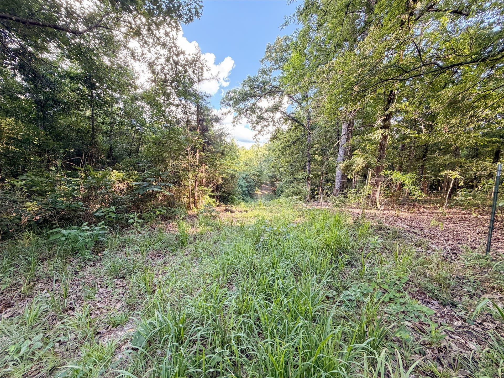 322.1 acres in Upshur County - photo 33