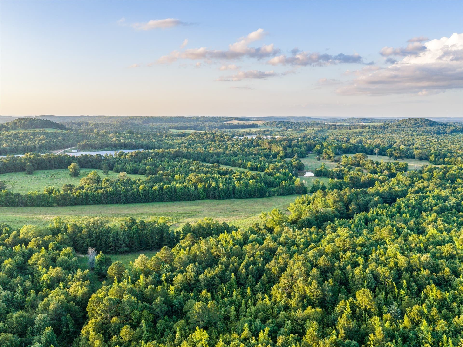 322.1 acres in Upshur County - photo 16