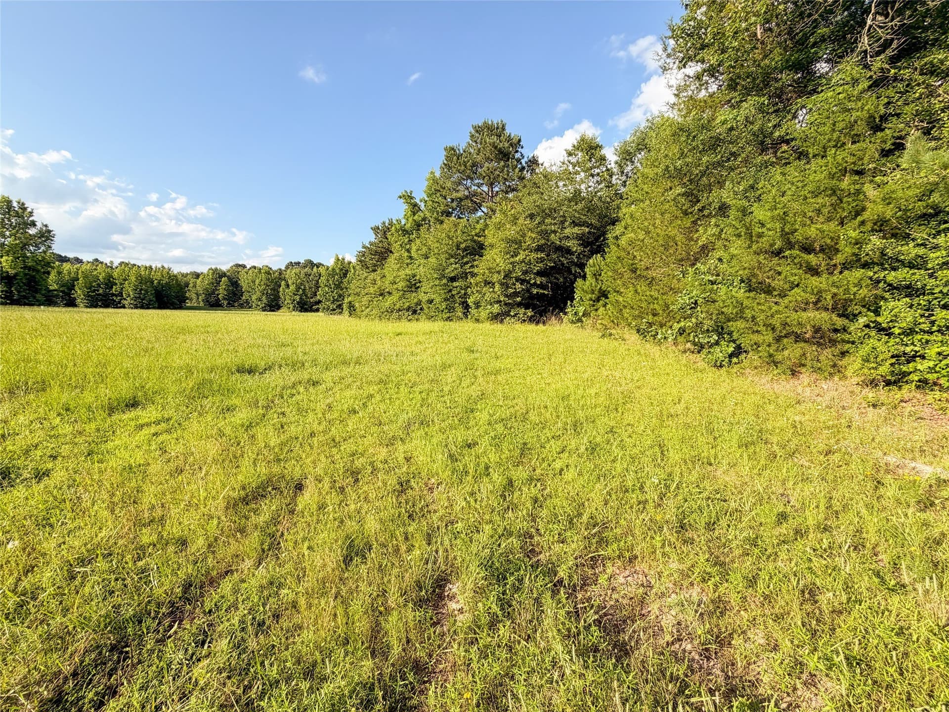 322.1 acres in Upshur County - photo 12