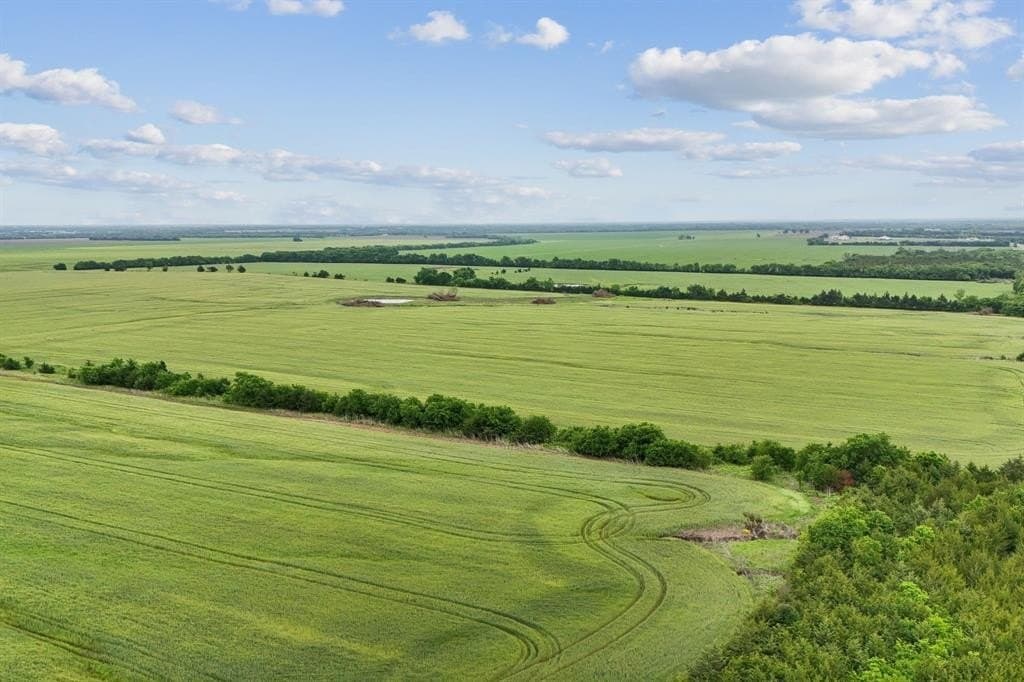 185 acres in Lamar County