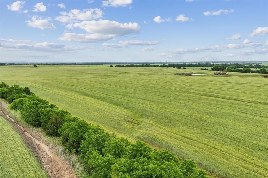 185 acres in Lamar County gallery image 3