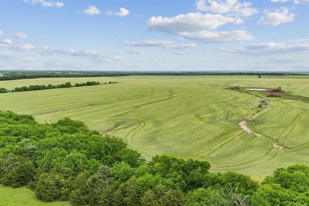 185 acres in Lamar County featured view