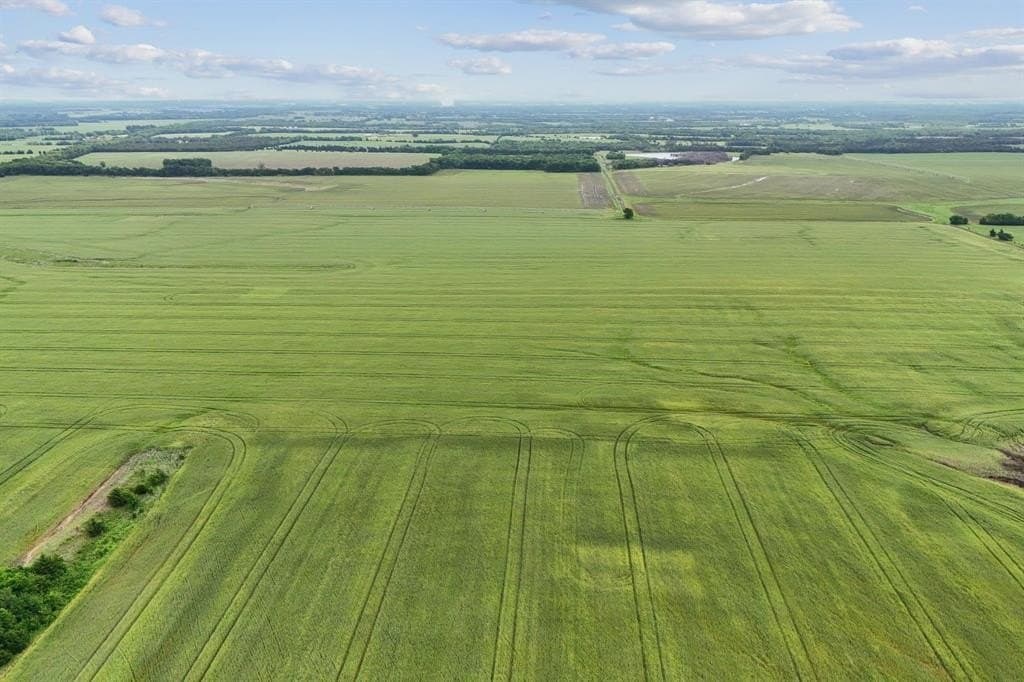 185 acres in Lamar County gallery image 2