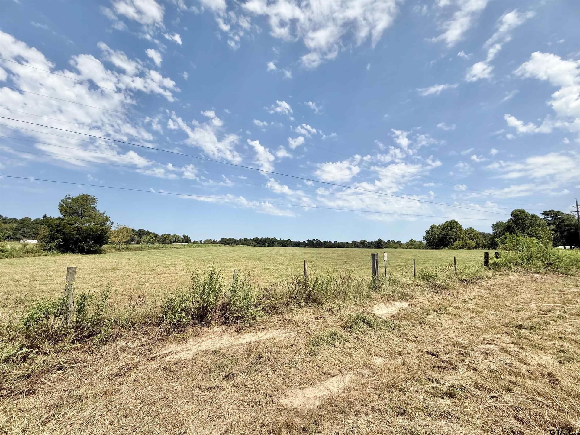 16 acres in Cherokee County gallery image 4