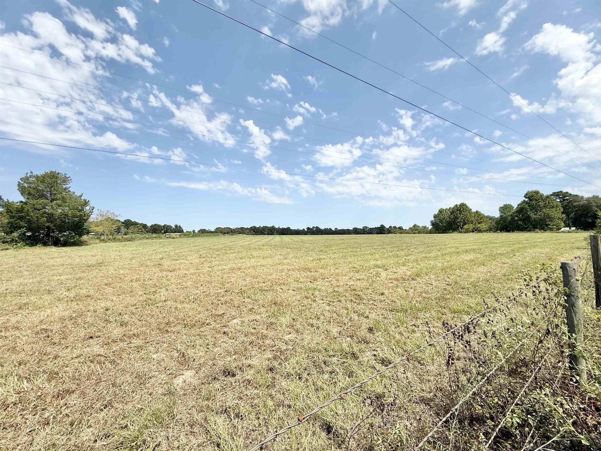 16 acres in Cherokee County gallery image 2