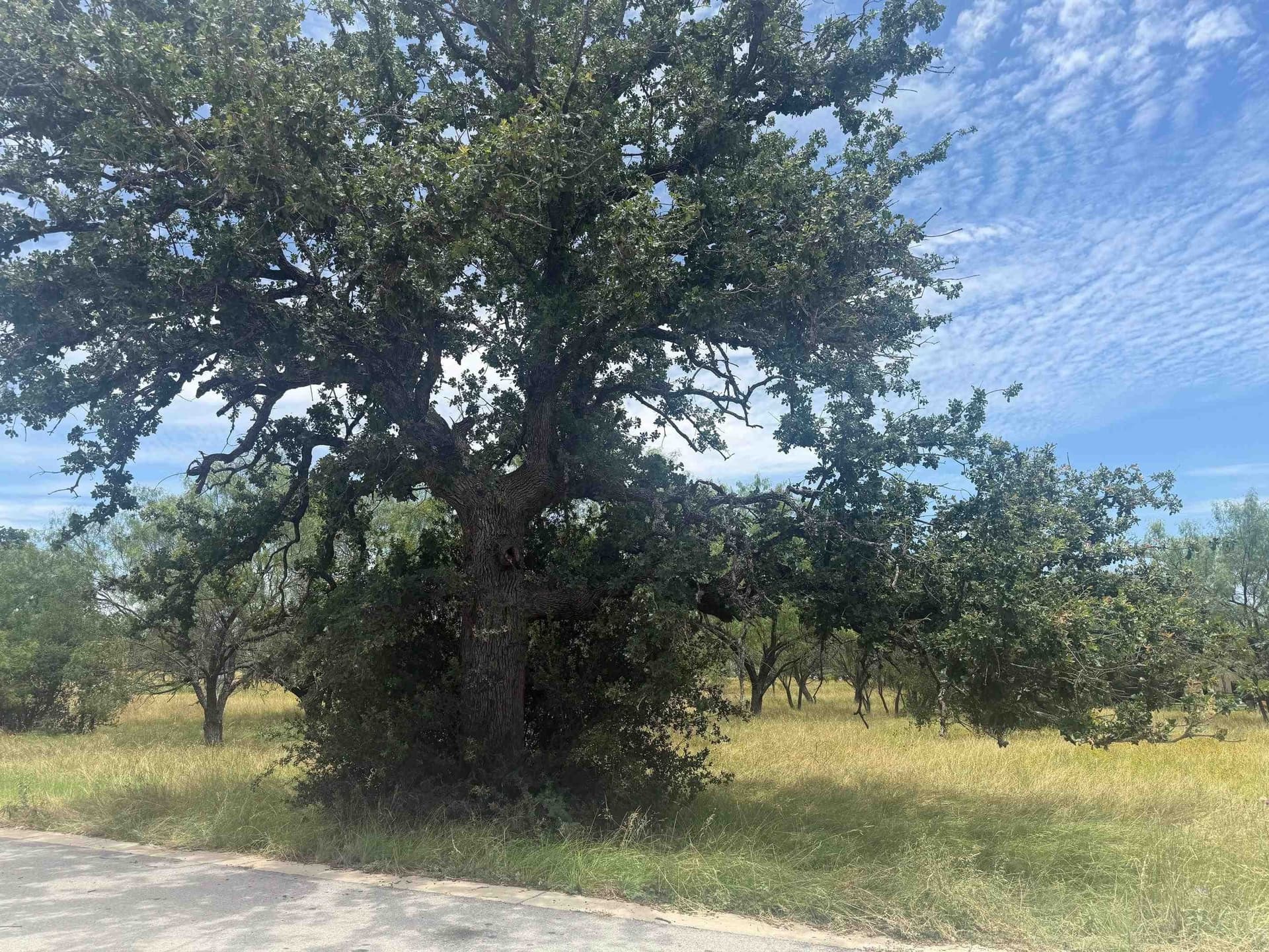 0.12 acres in Llano County gallery image 2