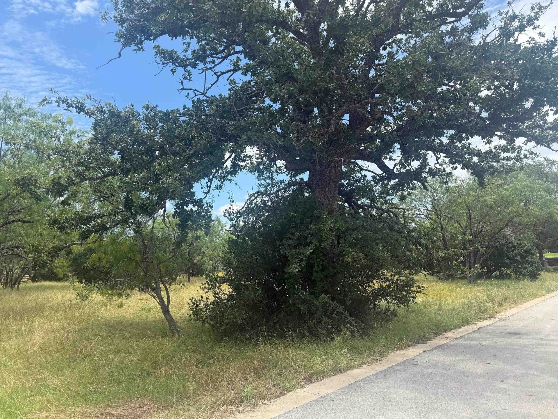 0.12 acres in Llano County gallery image 4