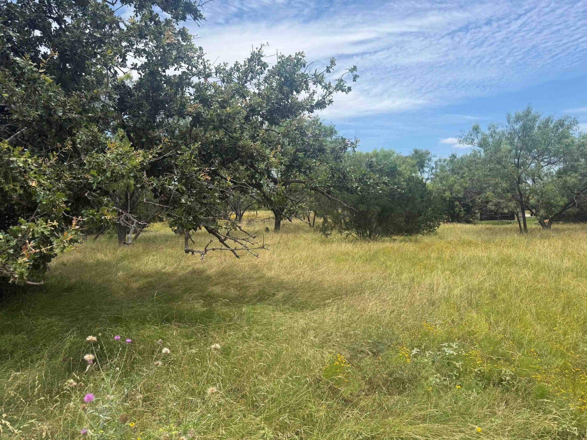 0.12 acres in Llano County gallery image 3