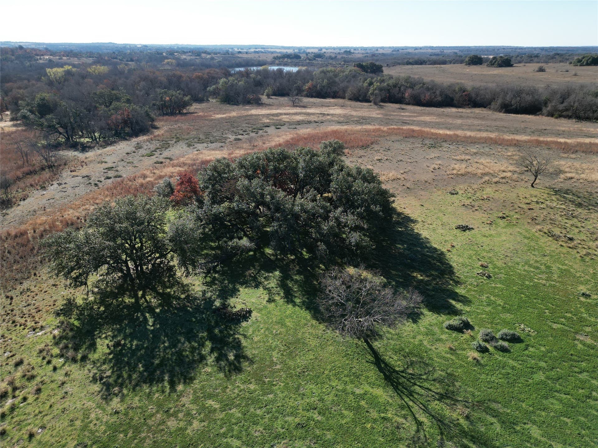 31.73 acres in Erath County - photo 4