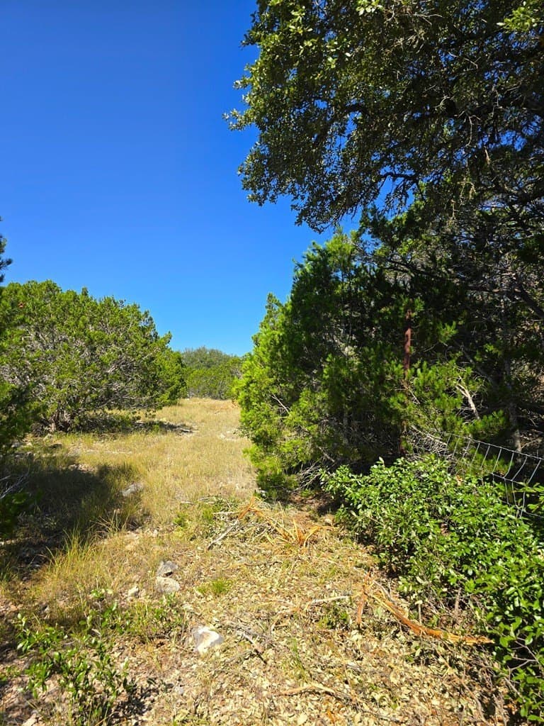 60.01 acres in Real County - photo 59