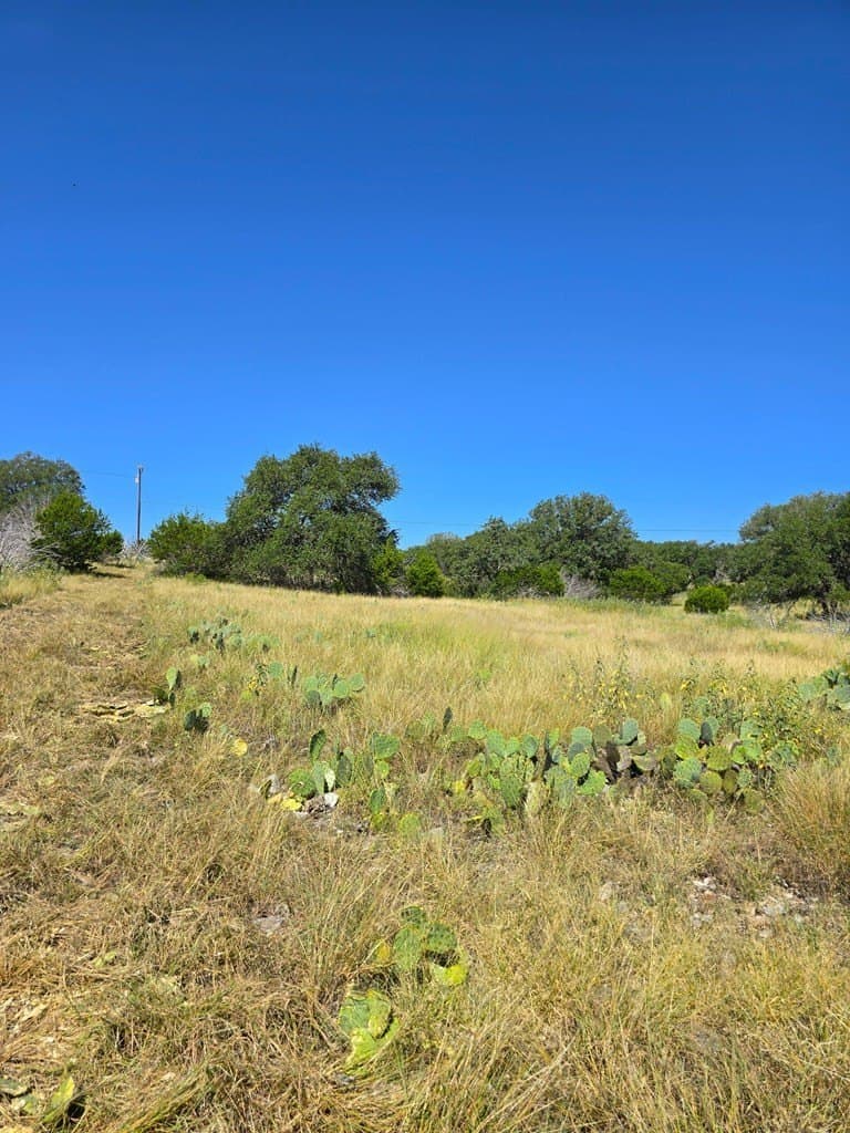 60.01 acres in Real County - photo 30