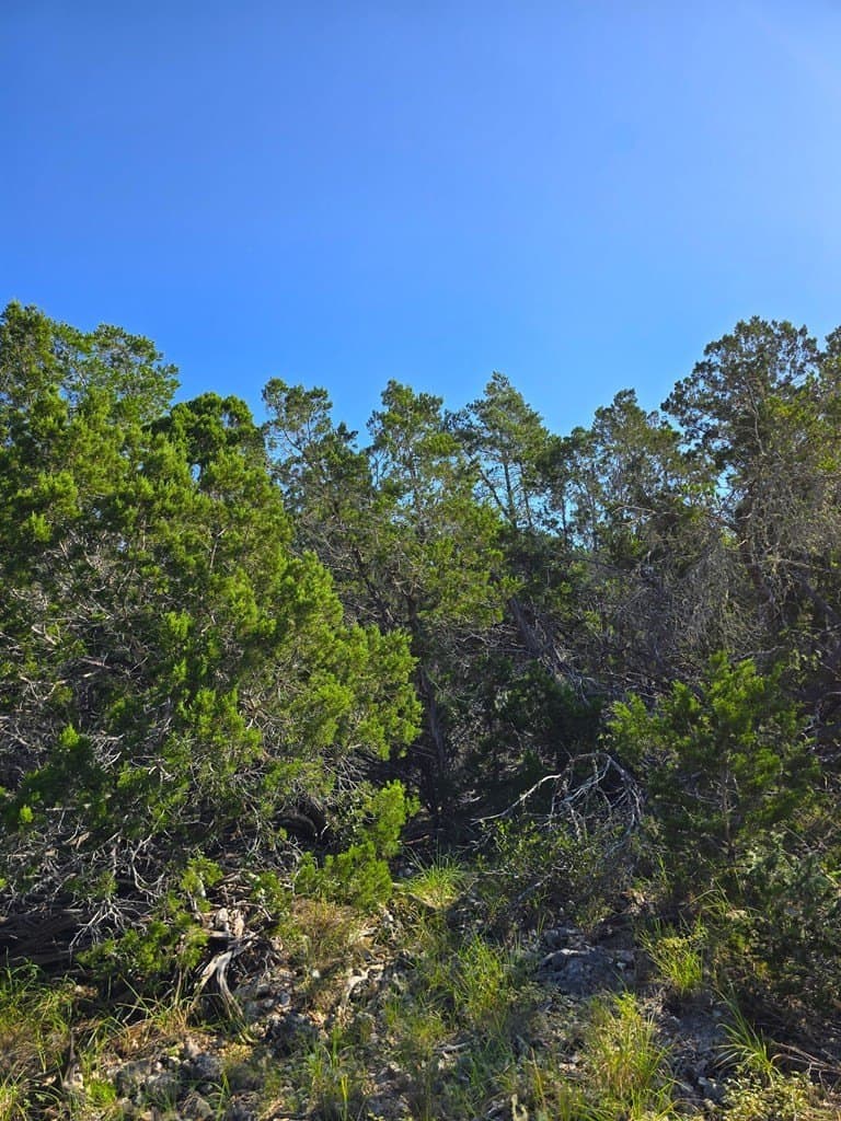 60.01 acres in Real County - photo 43