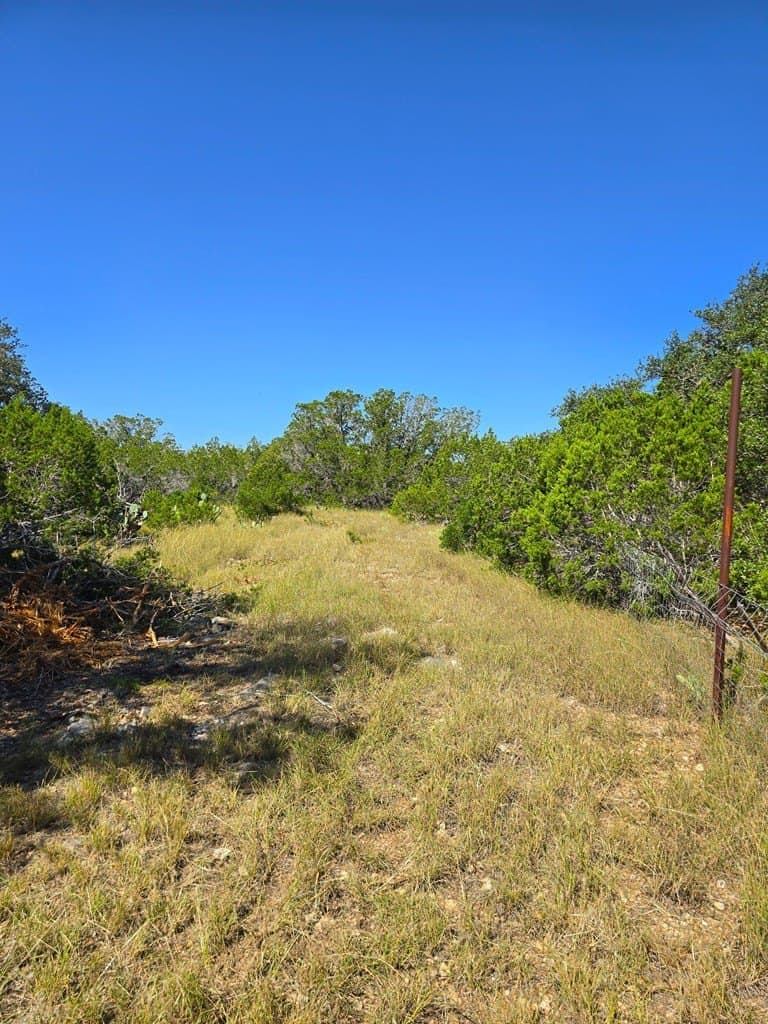 60.01 acres in Real County - photo 66