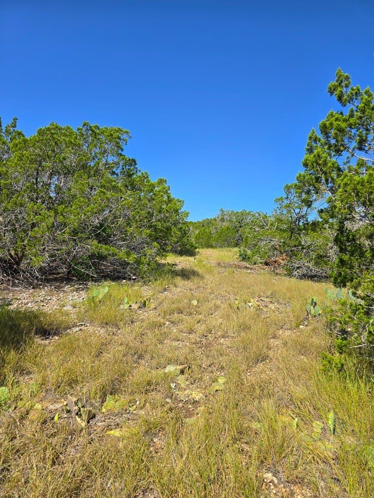 60.01 acres in Real County - photo 69