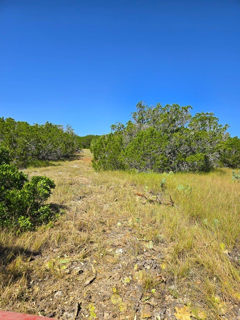 60.01 acres in Real County - photo 22