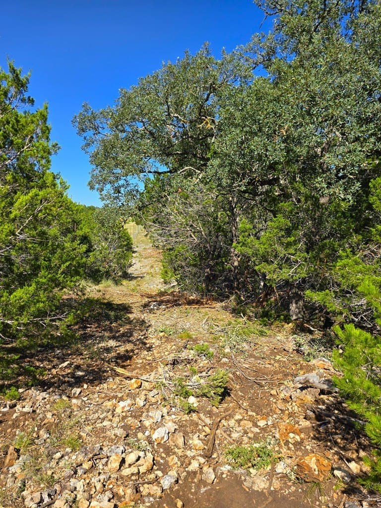 60.01 acres in Real County - photo 40