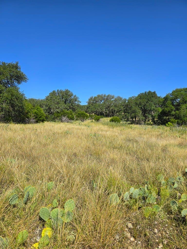 60.01 acres in Real County - photo 32