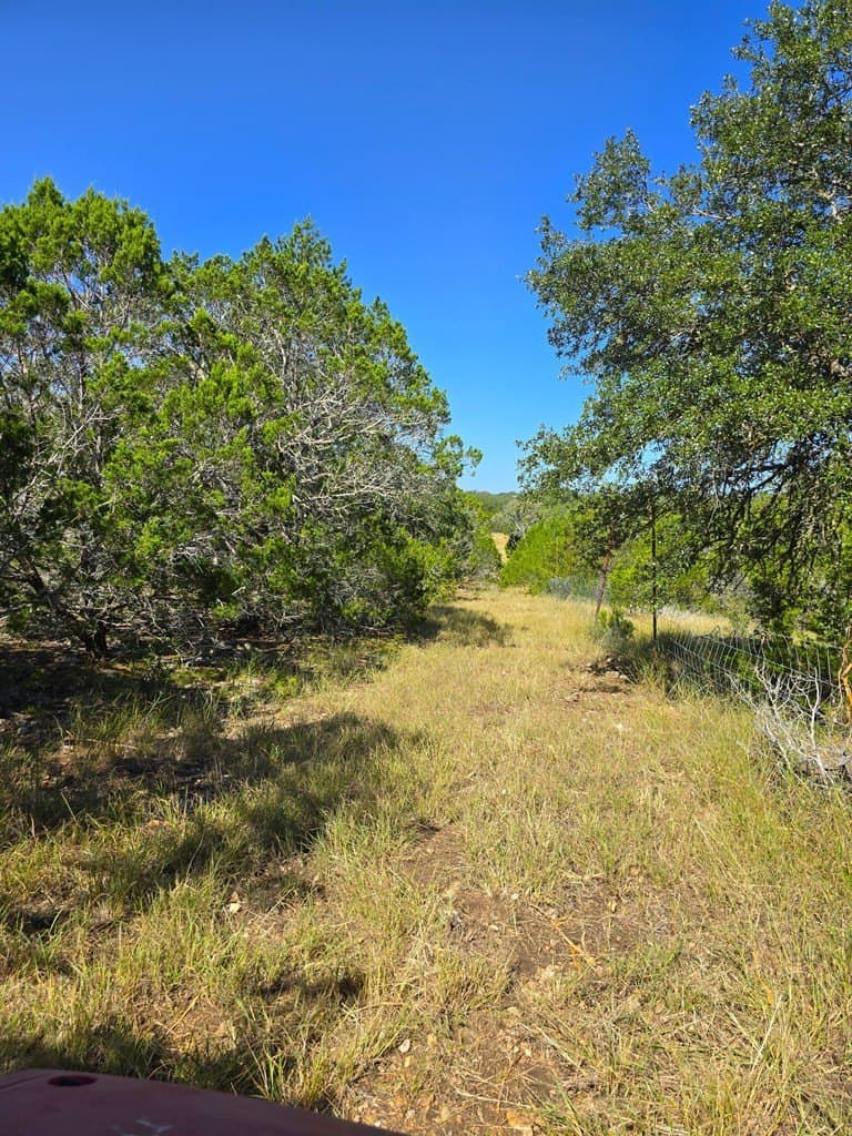 60.01 acres in Real County - photo 57