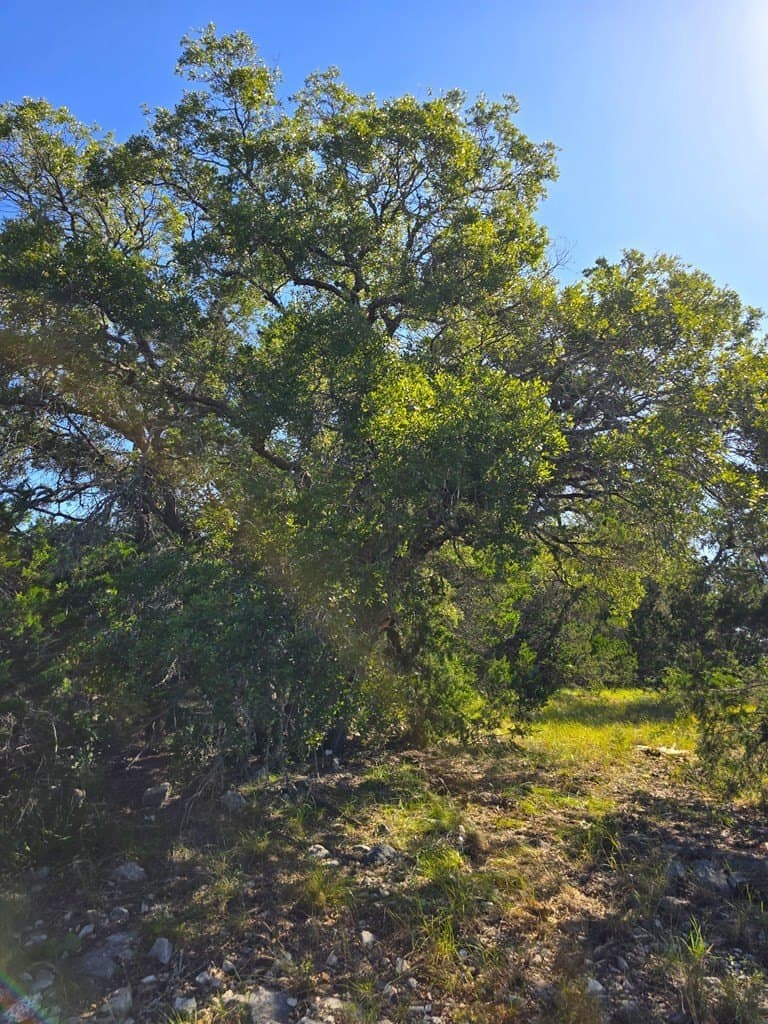 60.01 acres in Real County - photo 48