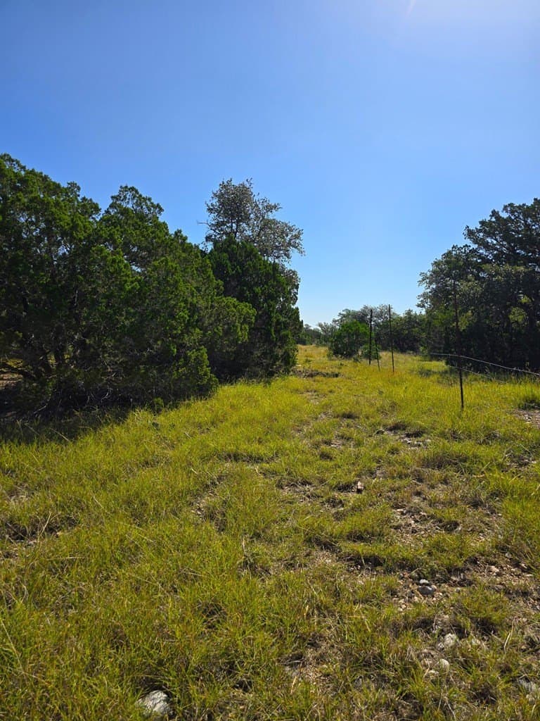 60.01 acres in Real County - photo 51