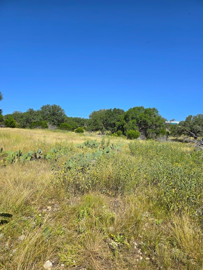 60.01 acres in Real County - photo 29