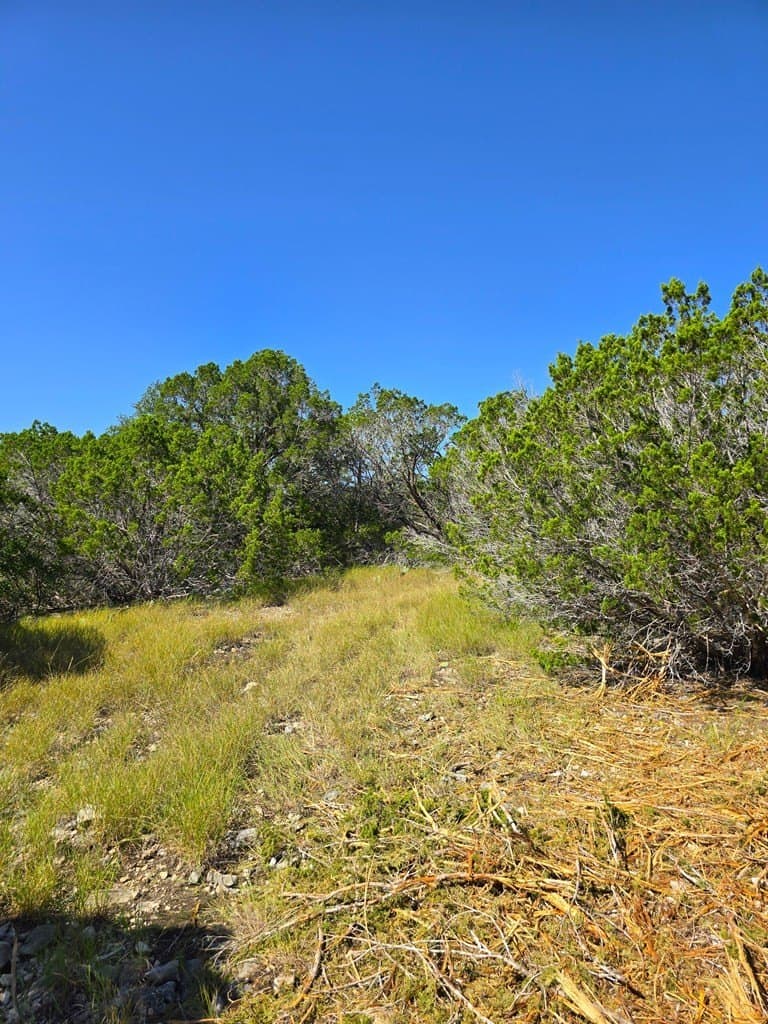 60.01 acres in Real County - photo 67