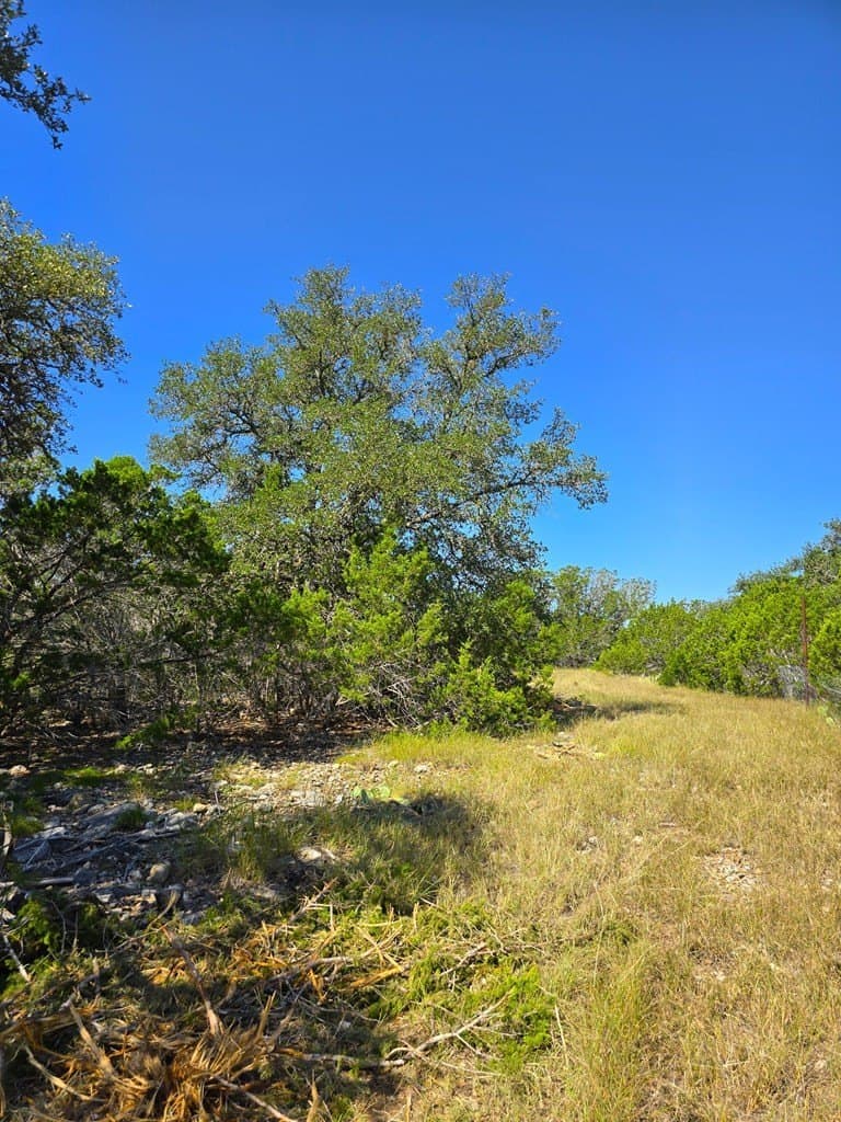 60.01 acres in Real County - photo 64